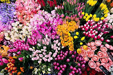 SUNSOFT宣布两款经典FC游戏重新复活